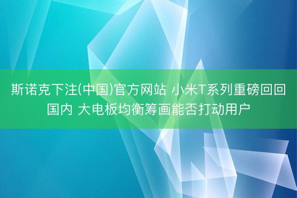 斯诺克下注(中国)官方网站 小米T系列重磅回回国内 大电板均衡筹画能否打动用户