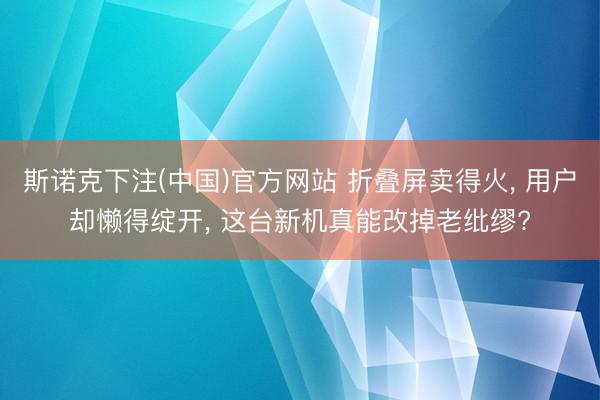 斯诺克下注(中国)官方网站 折叠屏卖得火， 用户却懒得绽开， 这台新机真能改掉老纰缪?