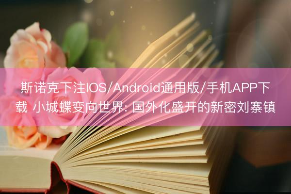 斯诺克下注IOS/Android通用版/手机APP下载 小城蝶变向世界: 国外化盛开的新密刘寨镇