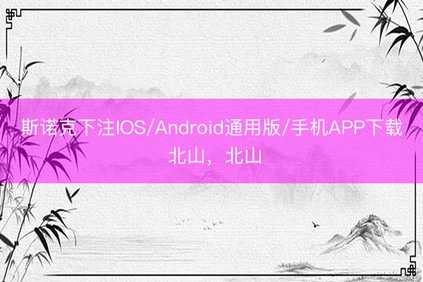 斯诺克下注IOS/Android通用版/手机APP下载 北山，北山