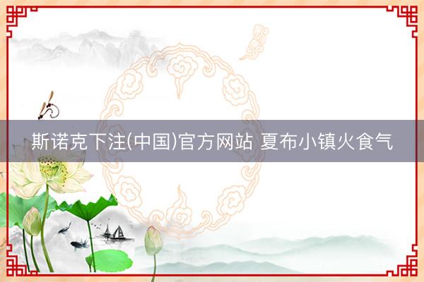斯诺克下注(中国)官方网站 夏布小镇火食气