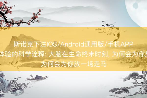 斯诺克下注IOS/Android通用版/手机APP下载 濒死体验的科学诠释: 大脑在生命终末时刻， 为何会为你放一场走马