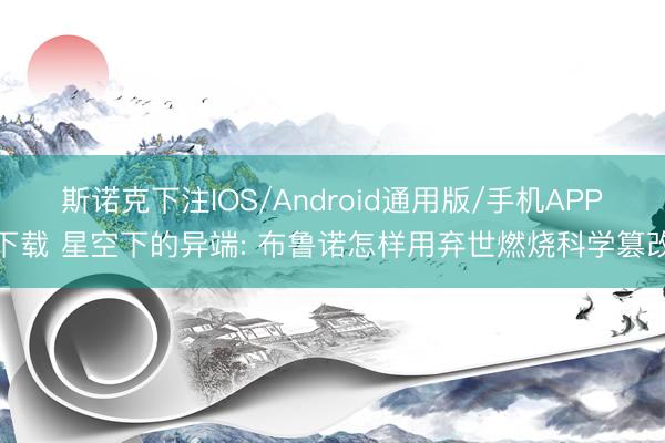 斯诺克下注IOS/Android通用版/手机APP下载 星空下的异端: 布鲁诺怎样用弃世燃烧科学篡改