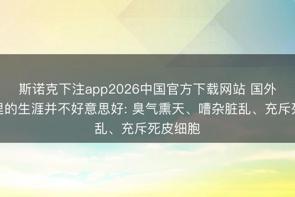 斯诺克下注app2026中国官方下载网站 国外空间站里的生涯并不好意思好: 臭气熏天、嘈杂脏乱、充斥死皮细胞