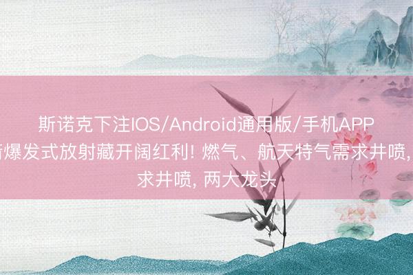 斯诺克下注IOS/Android通用版/手机APP下载 火箭爆发式放射藏开阔红利! 燃气、航天特气需求井喷, 两大龙头