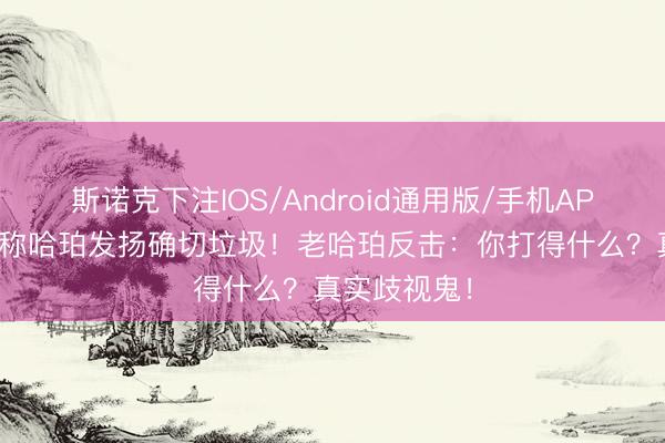 斯诺克下注IOS/Android通用版/手机APP下载 球迷称哈珀发扬确切垃圾！老哈珀反击：你打得什么？真实歧视鬼！