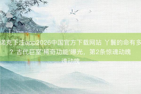 斯诺克下注app2026中国官方下载网站 丫鬟的命有多贱？古代巨室'稀奇功能'曝光，第2条惊魂动魄