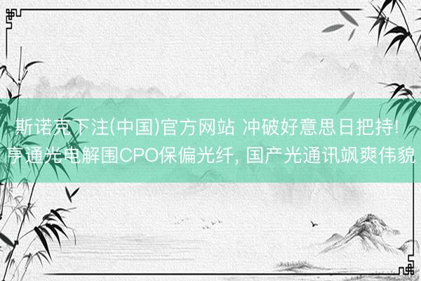 斯诺克下注(中国)官方网站 冲破好意思日把持! 亨通光电解围CPO保偏光纤， 国产光通讯飒爽伟貌