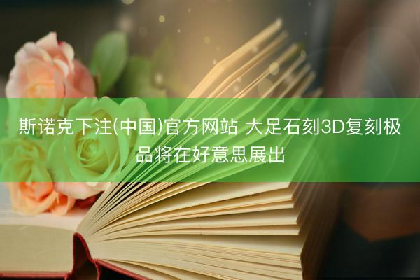 斯诺克下注(中国)官方网站 大足石刻3D复刻极品将在好意思展出