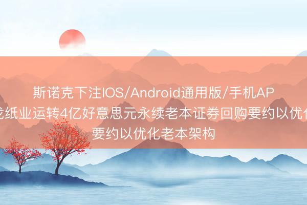 斯诺克下注IOS/Android通用版/手机APP下载 玖龙纸业运转4亿好意思元永续老本证券回购要约以优化老本架构