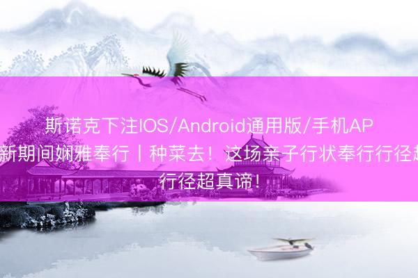 斯诺克下注IOS/Android通用版/手机APP下载 新期间娴雅奉行丨种菜去！这场亲子行状奉行行径超真谛！