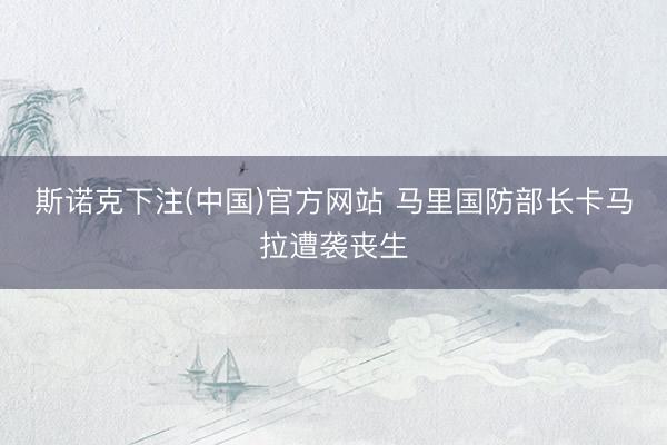 斯诺克下注(中国)官方网站 马里国防部长卡马拉遭袭丧生