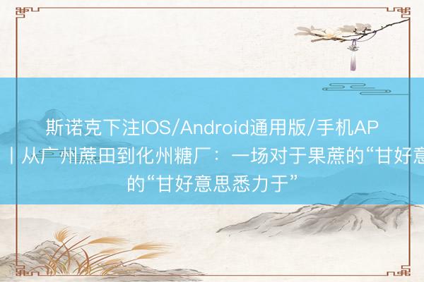 斯诺克下注IOS/Android通用版/手机APP下载 特写丨从广州蔗田到化州糖厂：一场对于果蔗的“甘好意思悉力于”