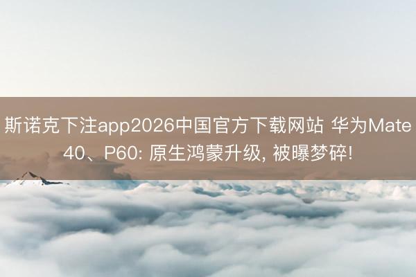 斯诺克下注app2026中国官方下载网站 华为Mate40、P60: 原生鸿蒙升级， 被曝梦碎!